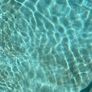 Meet your Posher, Dandy